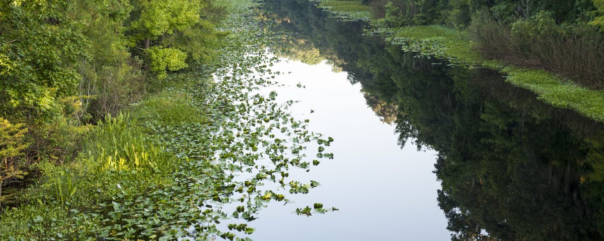 Ocklawaha River at Ocklawaha Prairie Restoration Area