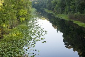 Ocklawaha River at Ocklawaha Prairie Restoration Area