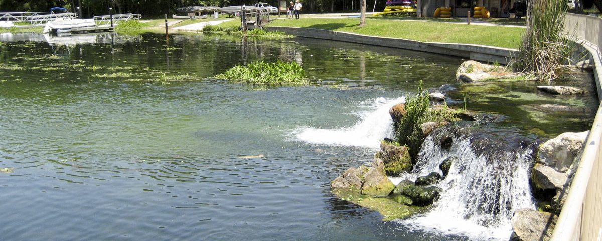 Water flowing over a small waterfall at Ponce de Leon Springs