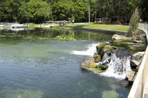 Water flowing over a small waterfall at Ponce de Leon Springs