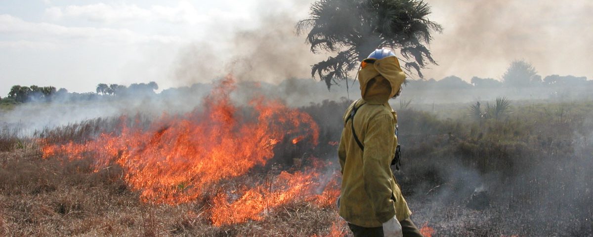 Land manager keeping an eye on a prescribed fire