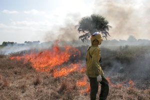 Land manager keeping an eye on a prescribed fire