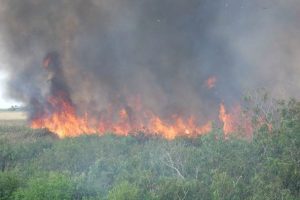 Prescribed fire at Fort Drum Marsh Conservation Area