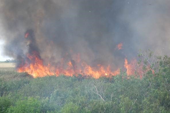 Prescribed fire at Fort Drum Marsh Conservation Area
