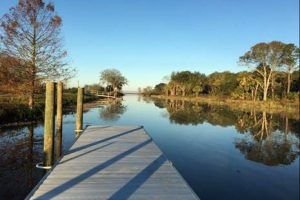 A boat dock at the Lake Apopka North Shore