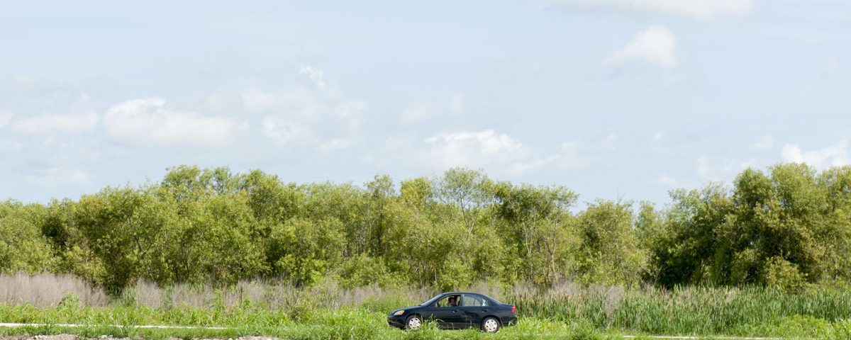 A car driving on the Lake Apopka Wildlife Drive
