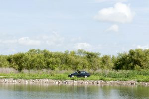 A car driving on the Lake Apopka Wildlife Drive
