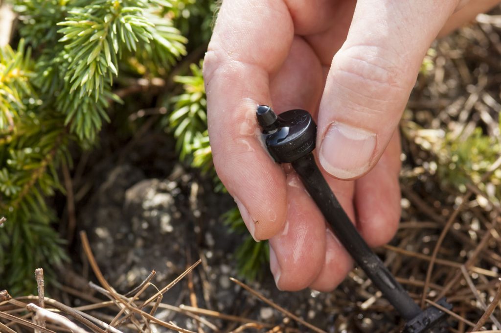 Hand holding a micro irrigation emiter