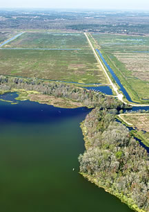 Aerial view of Lake Apopka