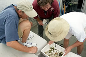 historyhome6 Staff looking at samples from the St. Johns River