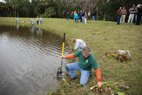 Volunteers plant wetlands vegetation
