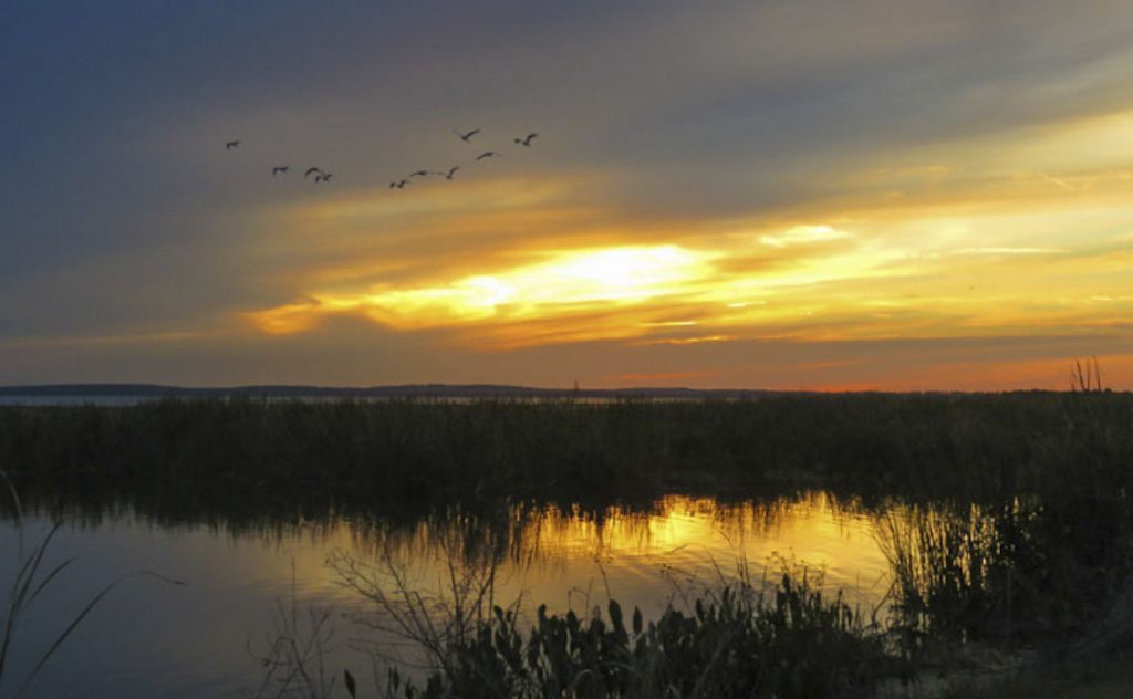 01-welcome-entrance-large Birds flying over Lake Apopka at sunset