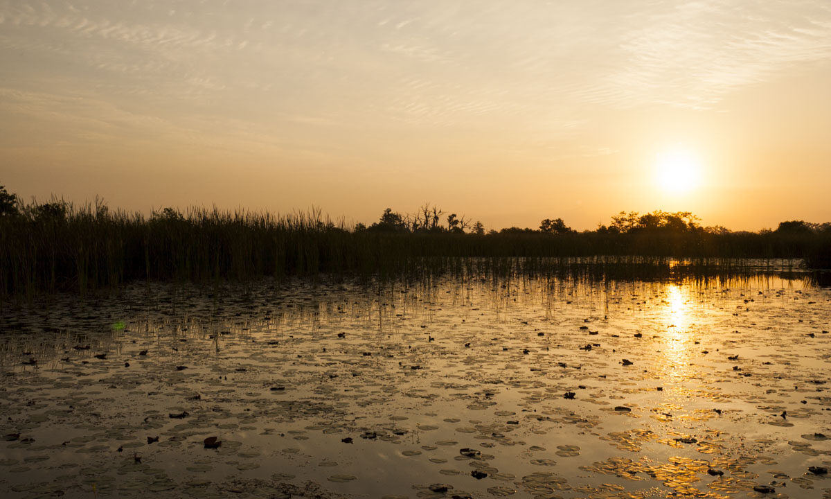 Golden sunrise over Blue Cypress Conservation Area