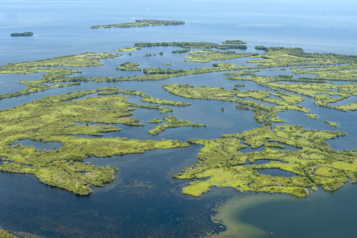 Aerial of islands in the Indian River Lagoon