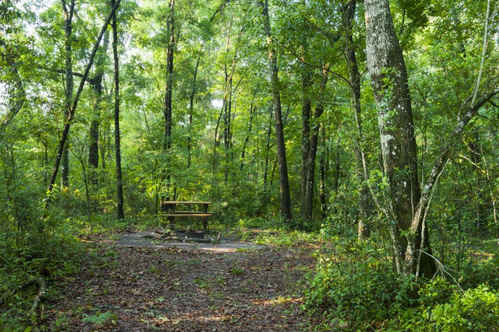 Camping area at Black Creek Ravines Conservation Area