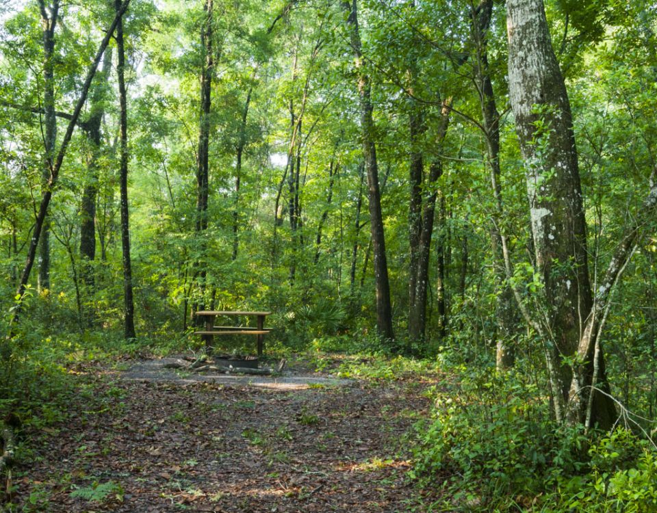 Camping area at Black Creek Ravines Conservation Area