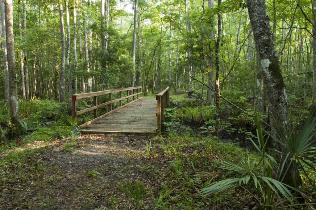 Foot bridge at Julington-Durbin Preserve