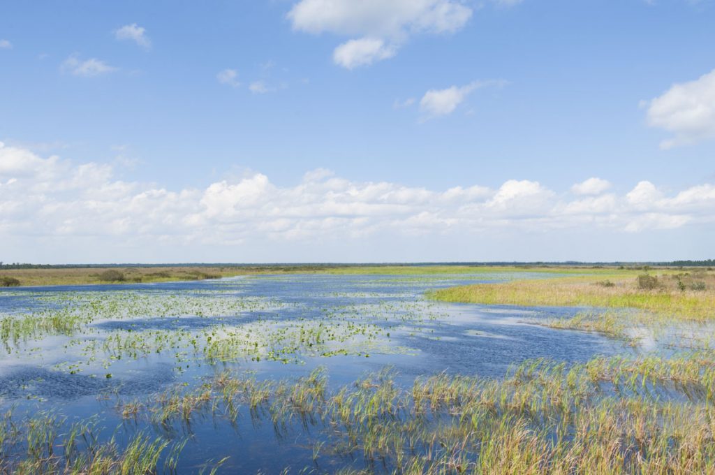 Buck lake seen from an observation platform