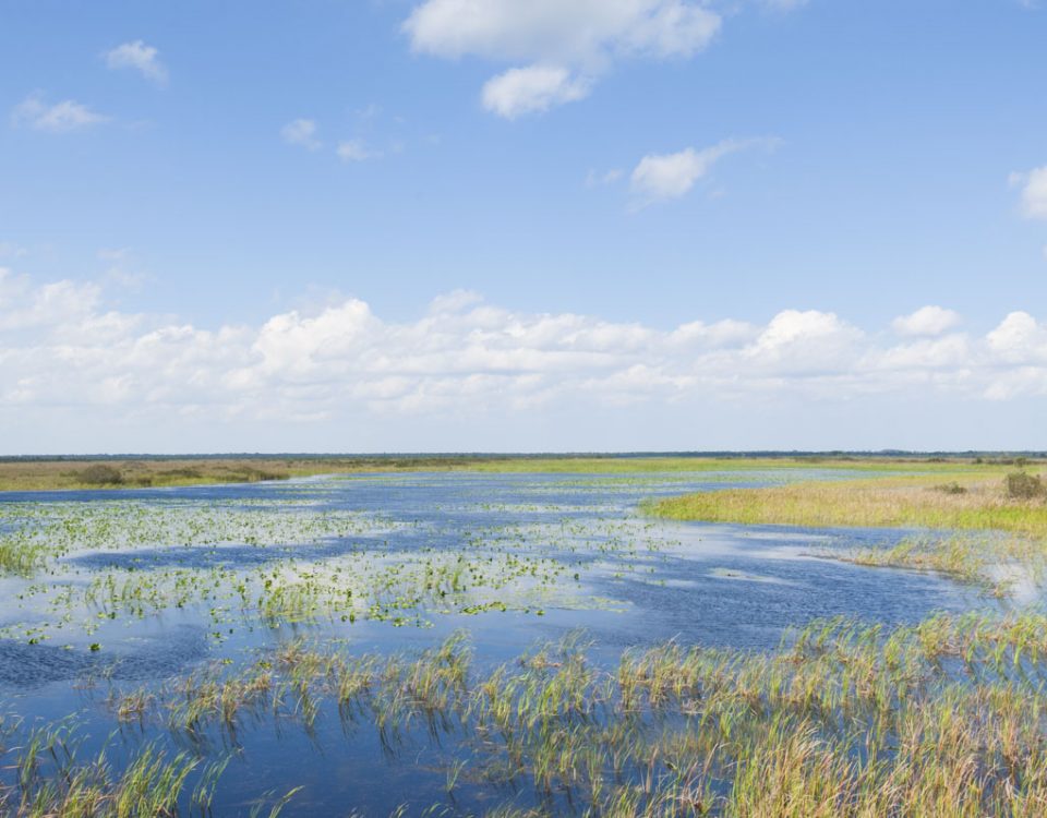 Buck lake seen from an observation platform