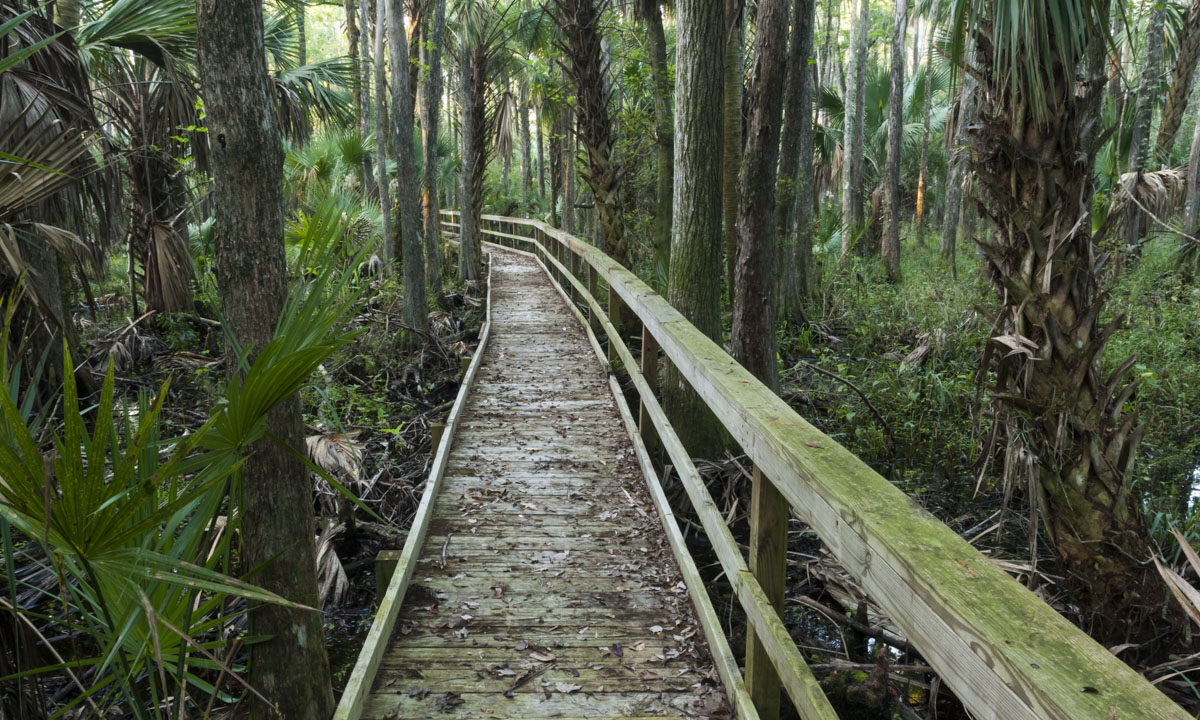 Boardwalk at Fort Drum Marsh Conservation Area