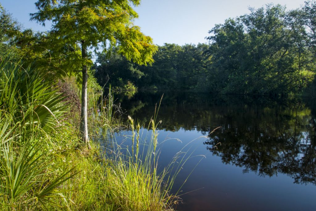 Horseshoe Lake at Fort Drum Marsh Conservation Area
