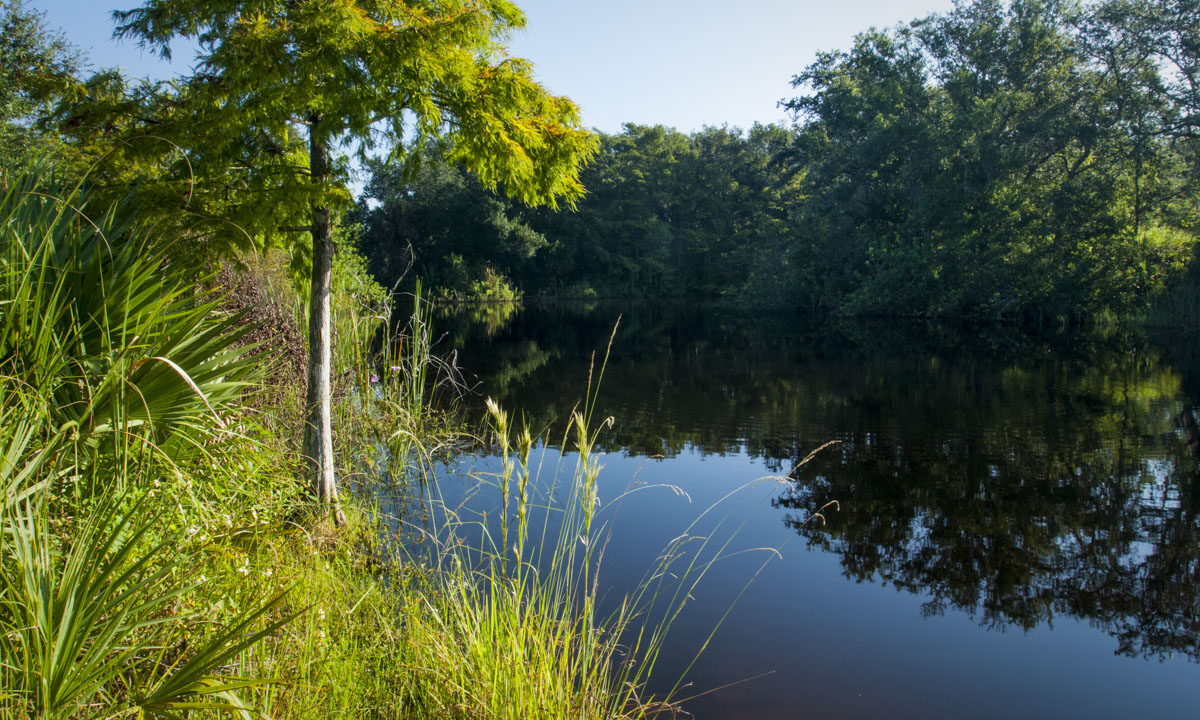 Horseshoe Lake at Fort Drum Marsh Conservation Area