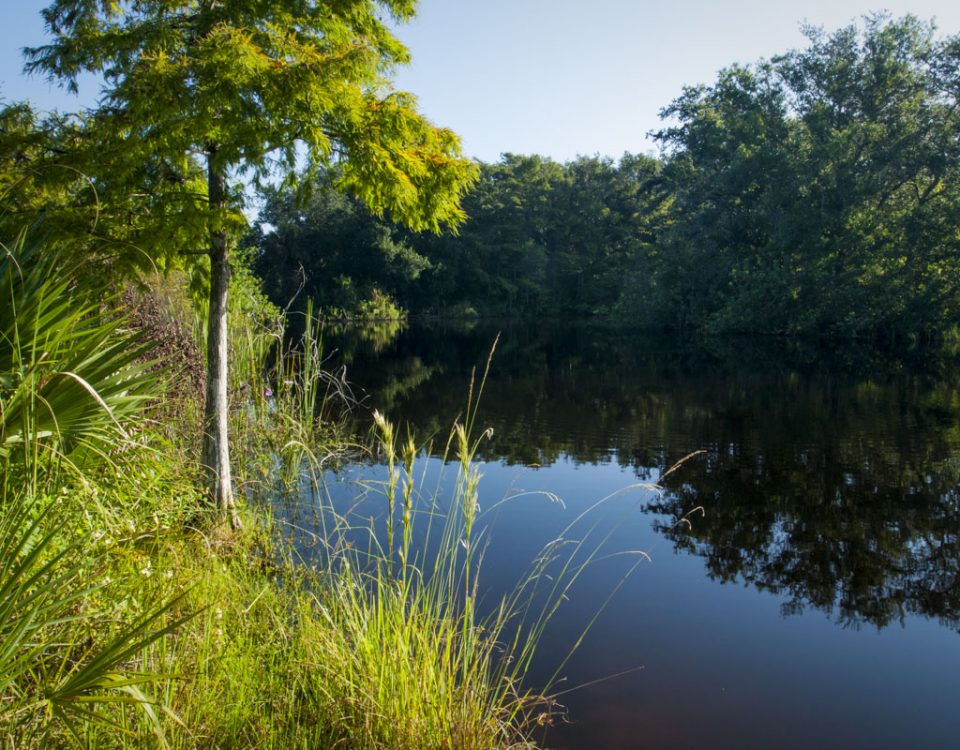 Horseshoe Lake at Fort Drum Marsh Conservation Area