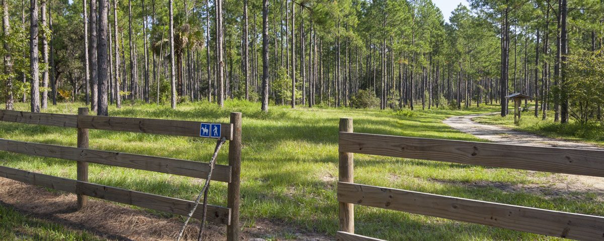 Trail entrance at Crescent Lake Conservation Area