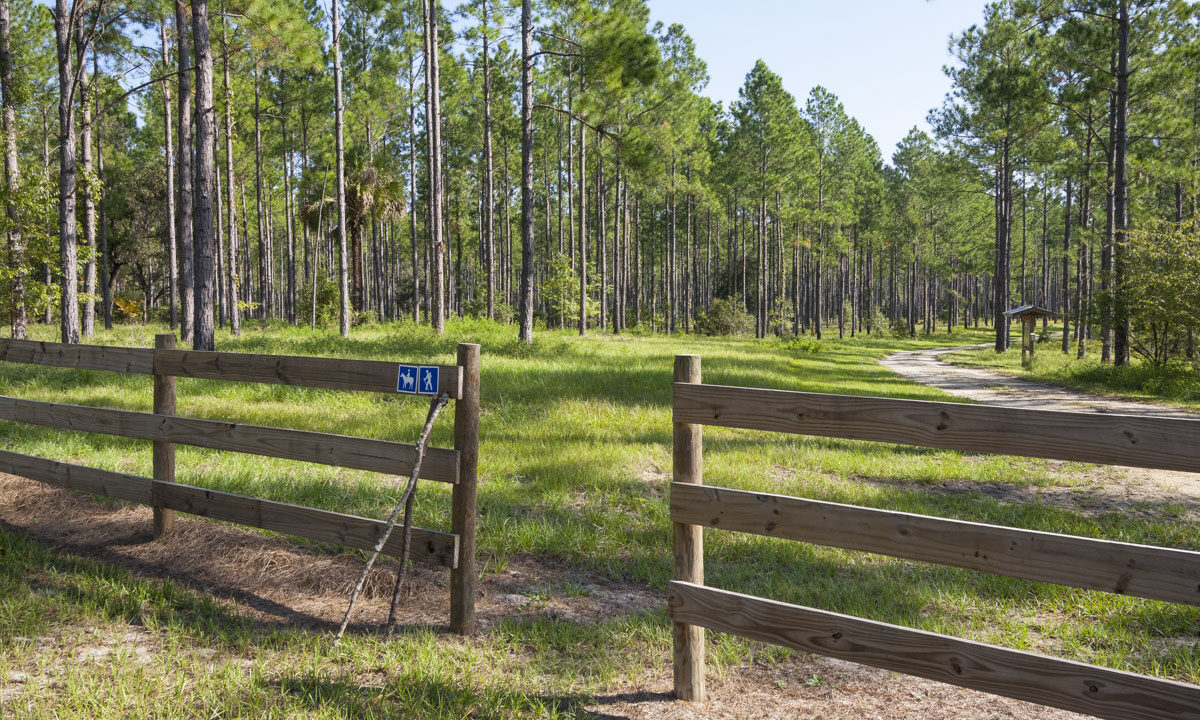 Trail entrance at Crescent Lake Conservation Area