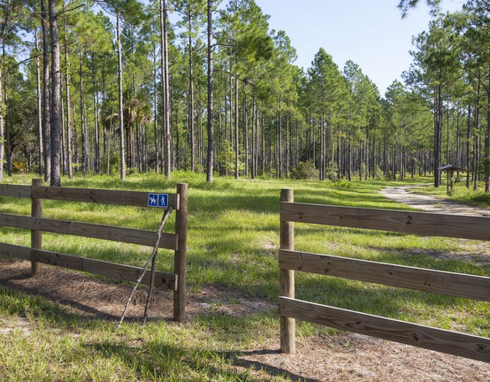 Trail entrance at Crescent Lake Conservation Area