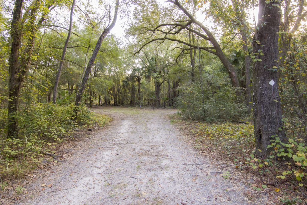White blaze trail at Murphy Creek Conservation Area