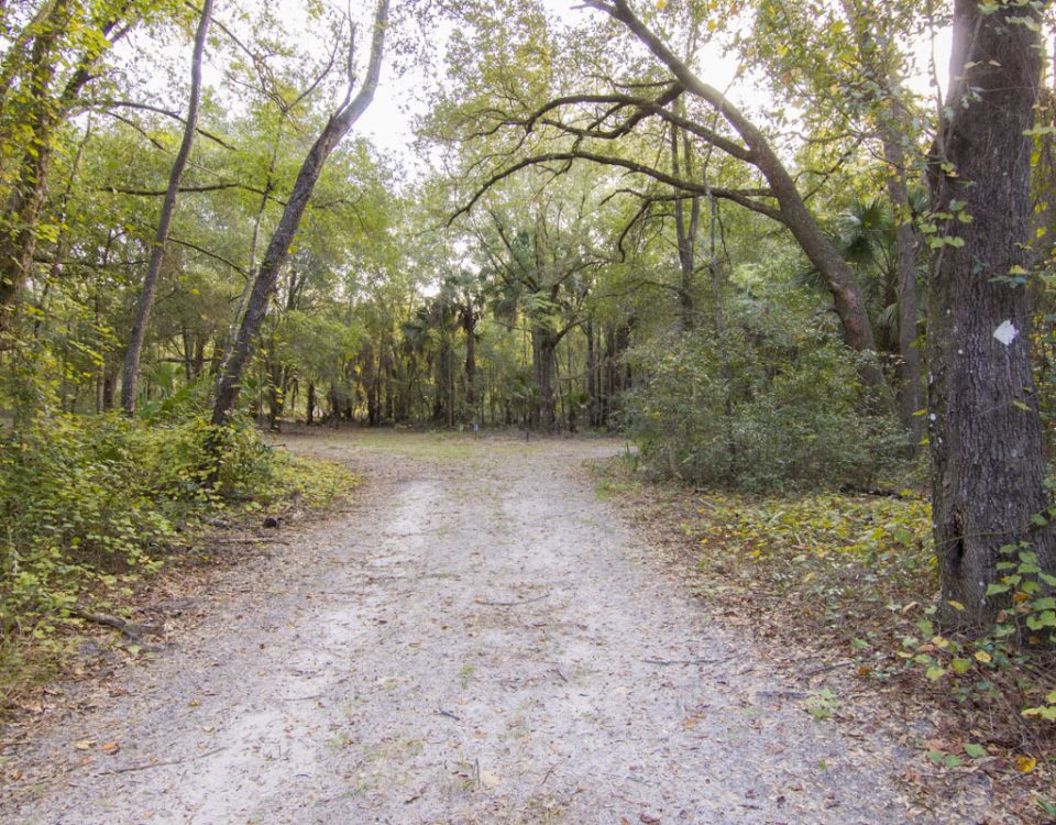 White blaze trail at Murphy Creek Conservation Area