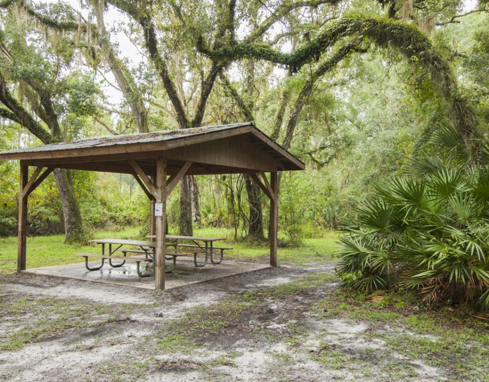 Group camping area picnic shelter