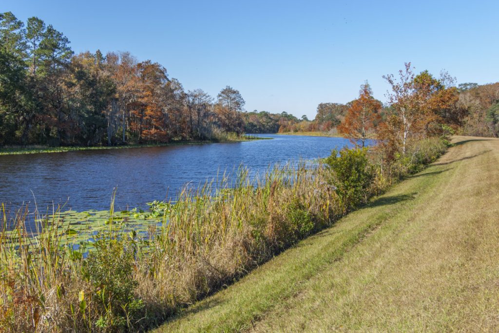 canal and levee at Sunnhill Restoration Area