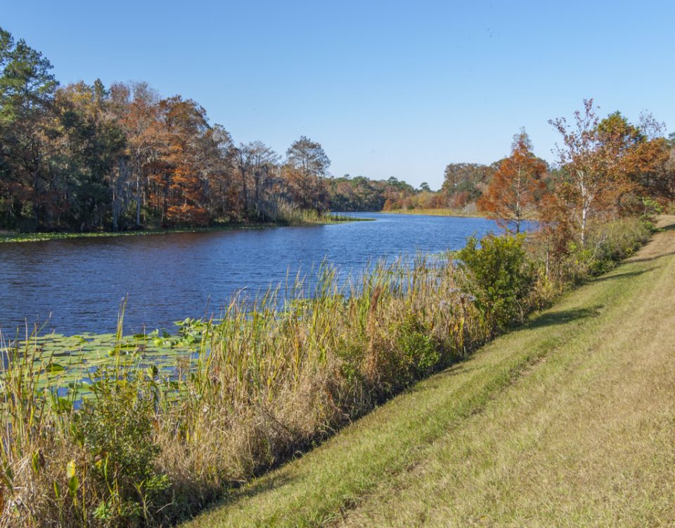 canal and levee at Sunnhill Restoration Area