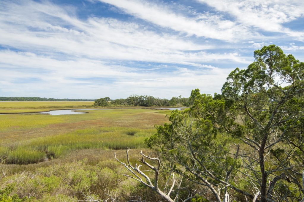 Salt marsh at Stokes Landing Conservation Area