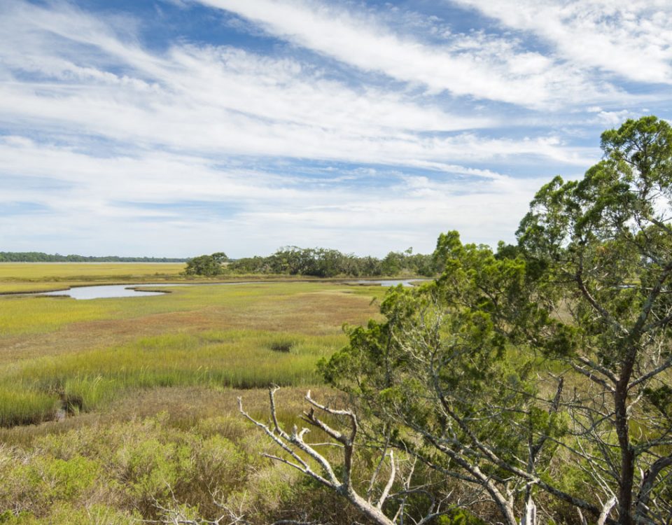 Salt marsh at Stokes Landing Conservation Area