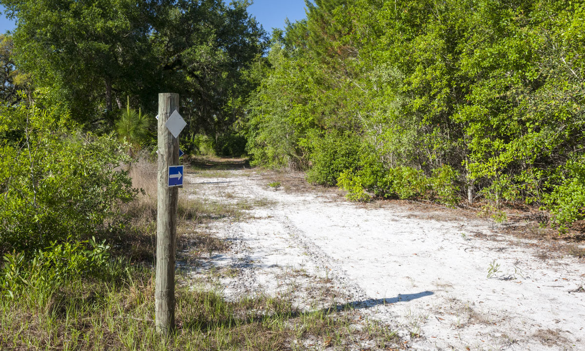 White blazed trail at Heart Island Conservation Area
