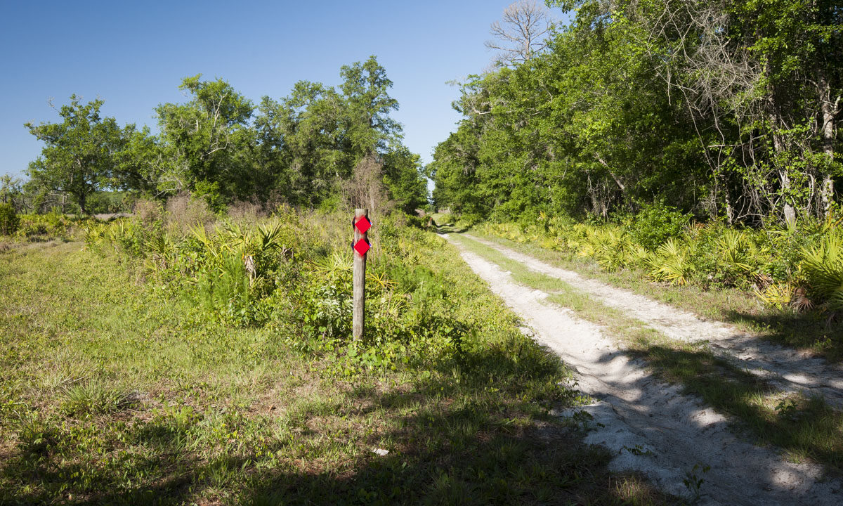 Red blazed trail at Heart Island Conservation Area