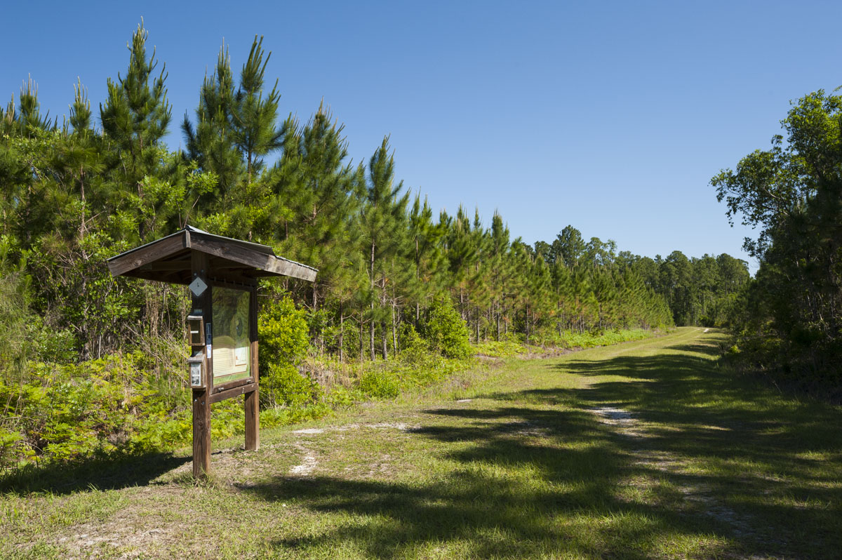 Entrance kiosk at Clark Bay Conservation Area