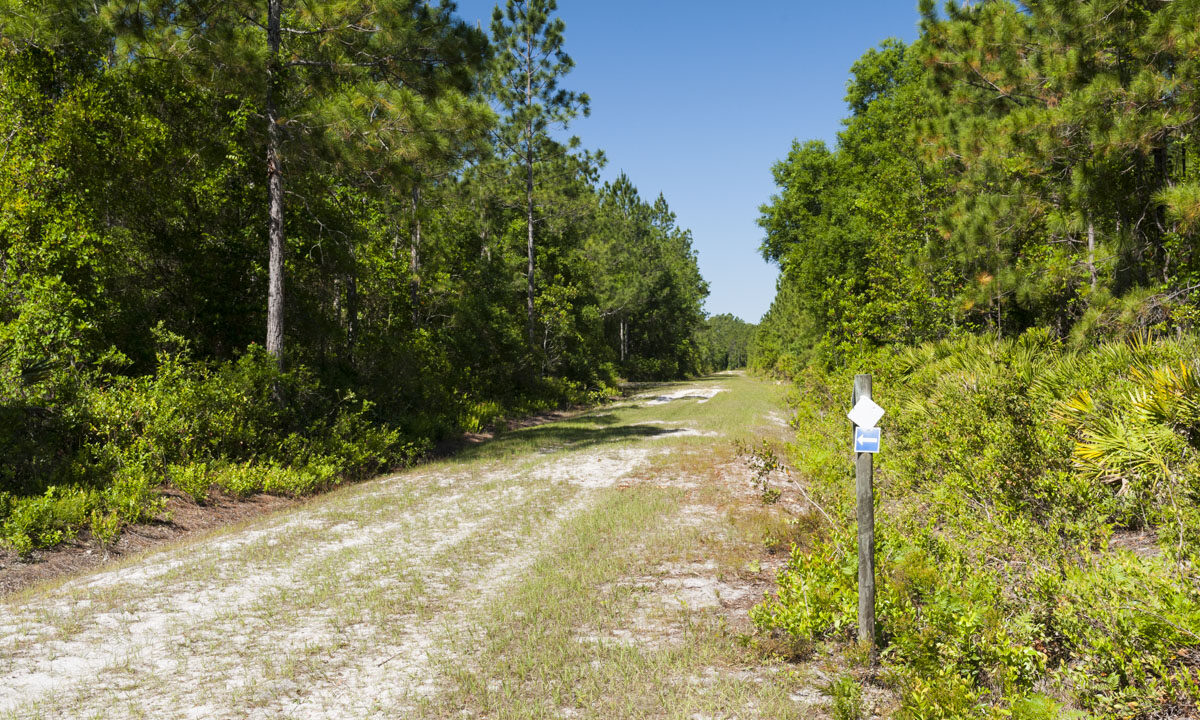 White blaze hiking trail at Clark Bay Conservation Area