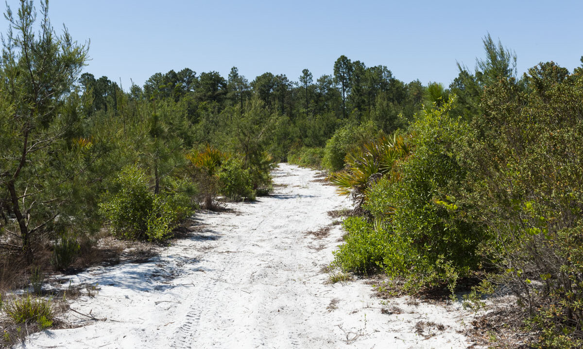 Hiking trail at Clark Bay Conservation Area