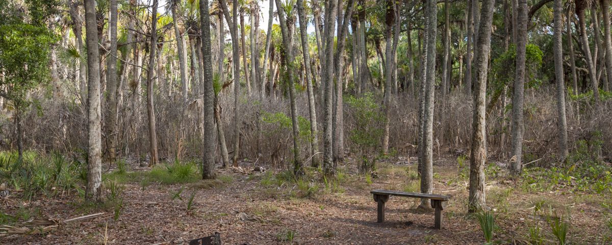 Camping Area at Seminole Ranch Conservation Area