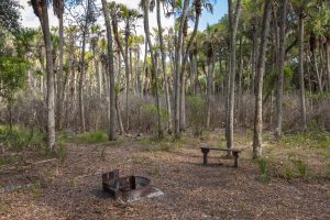 Camping Area at Seminole Ranch Conservation Area