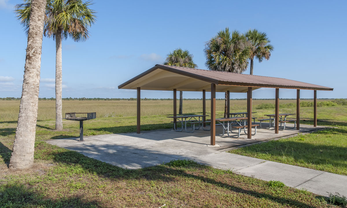 Picnic shelter at Three Forks Marsh Conservation Area