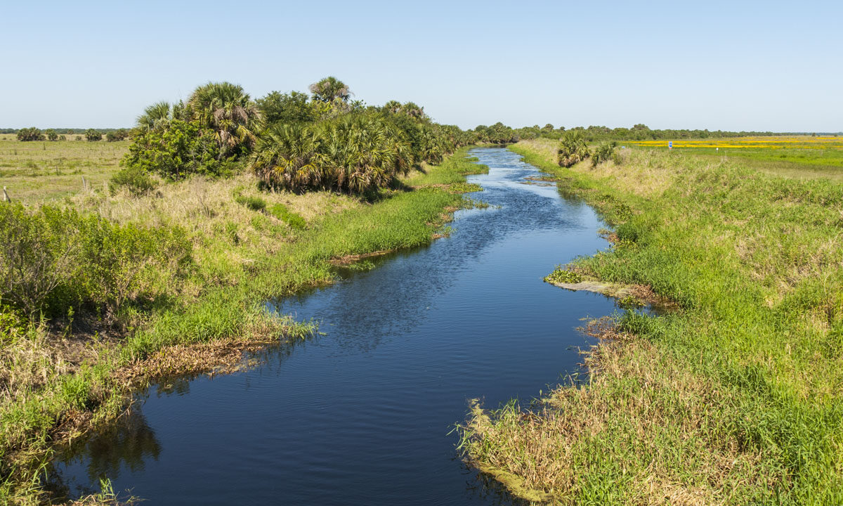Canal at River Lakes Conservation Area
