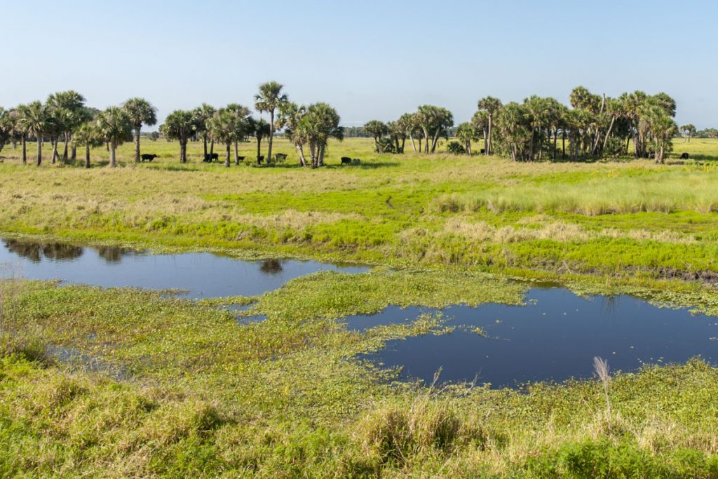 Canal at River Lakes Conservation Area
