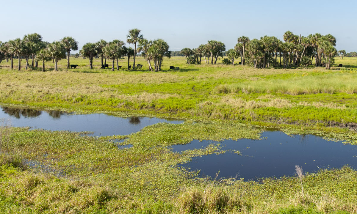 Canal at River Lakes Conservation Area