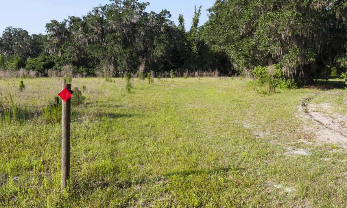 Red blazed hiking trail at Orange Creek Restoration Area