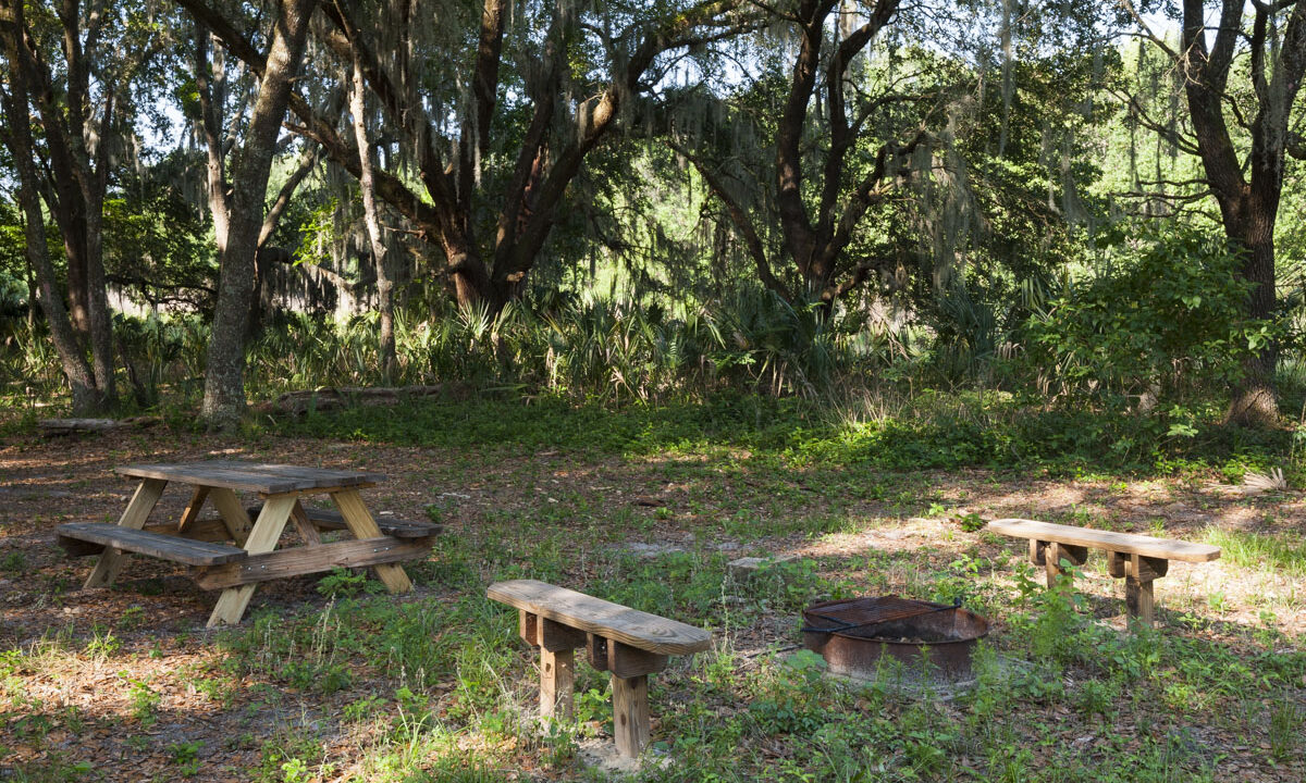 Camping area at Orange Creek Restoration Area